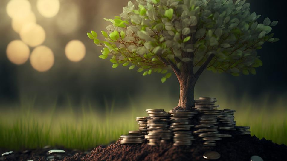 Vermögen und finanzielle Einschätzungen