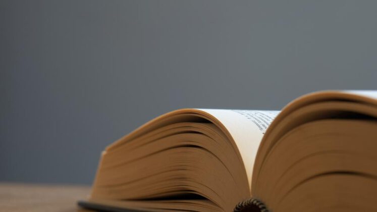 Was ist der Insi Modus? Bedeutung und interessante Insights erklärt ...